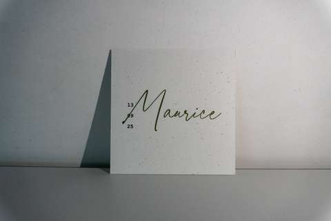 Maurice (1/2)